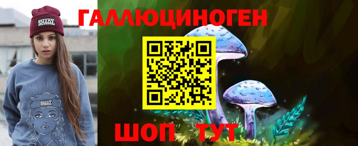 купить   Вход с VPN  Усть-Джегута  Псилоцибиновые грибы MAGIC MUSHROOMS 